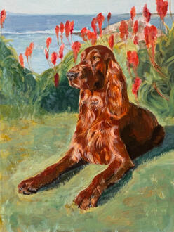 Irish setter - acrylic on aluminum sheet 30x40 cm