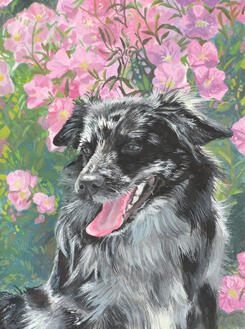 Silvi - gouache on paper